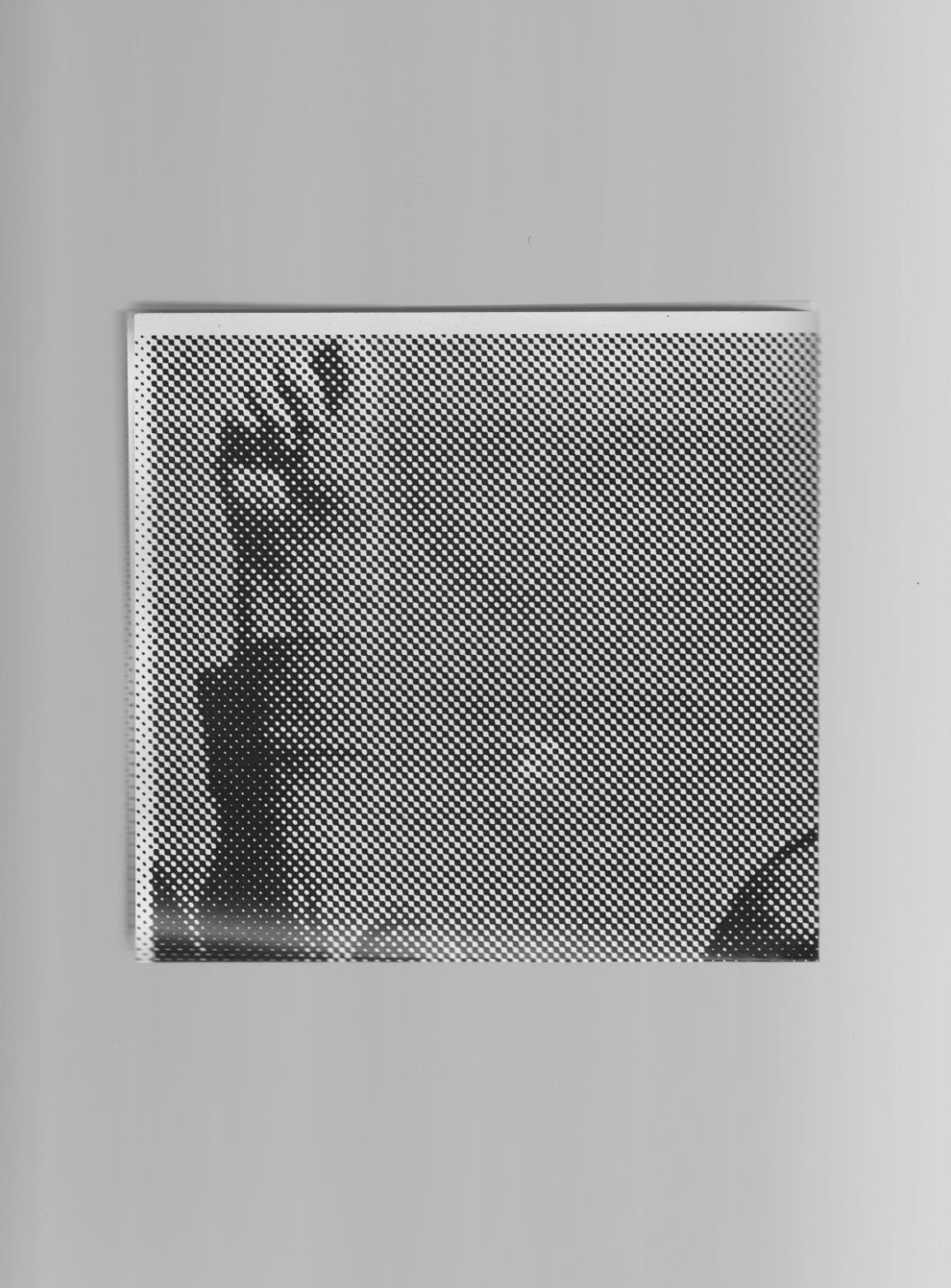 Behice Boran poster (TR/ EN/ FR)